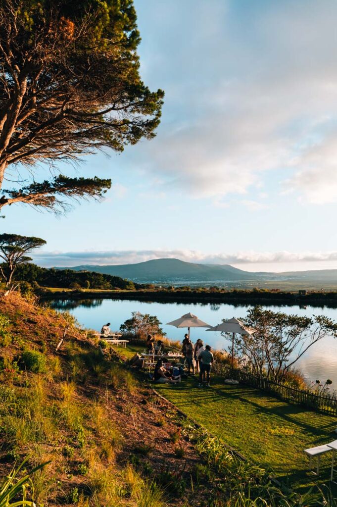 Cape Point Vineyards Tipps