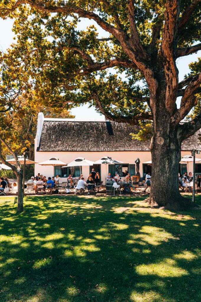 Constantia Weingut Tipps