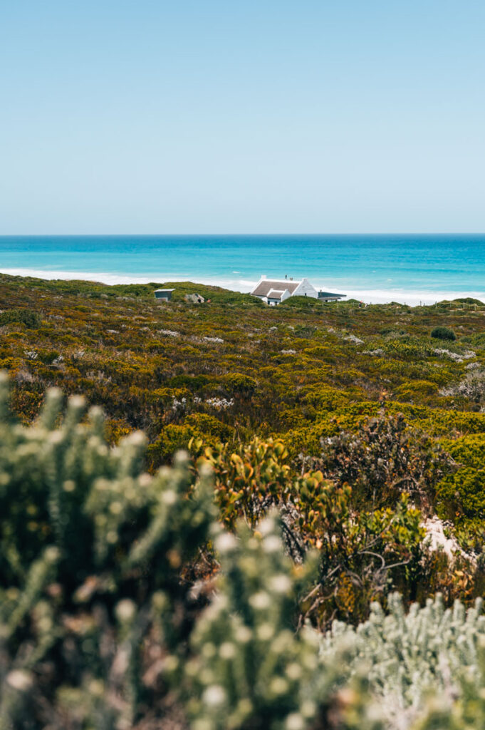 De Hoop Bites Beach Cafe