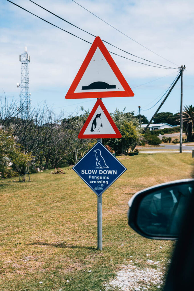 Garden Route Mietwagen Erafhrungen