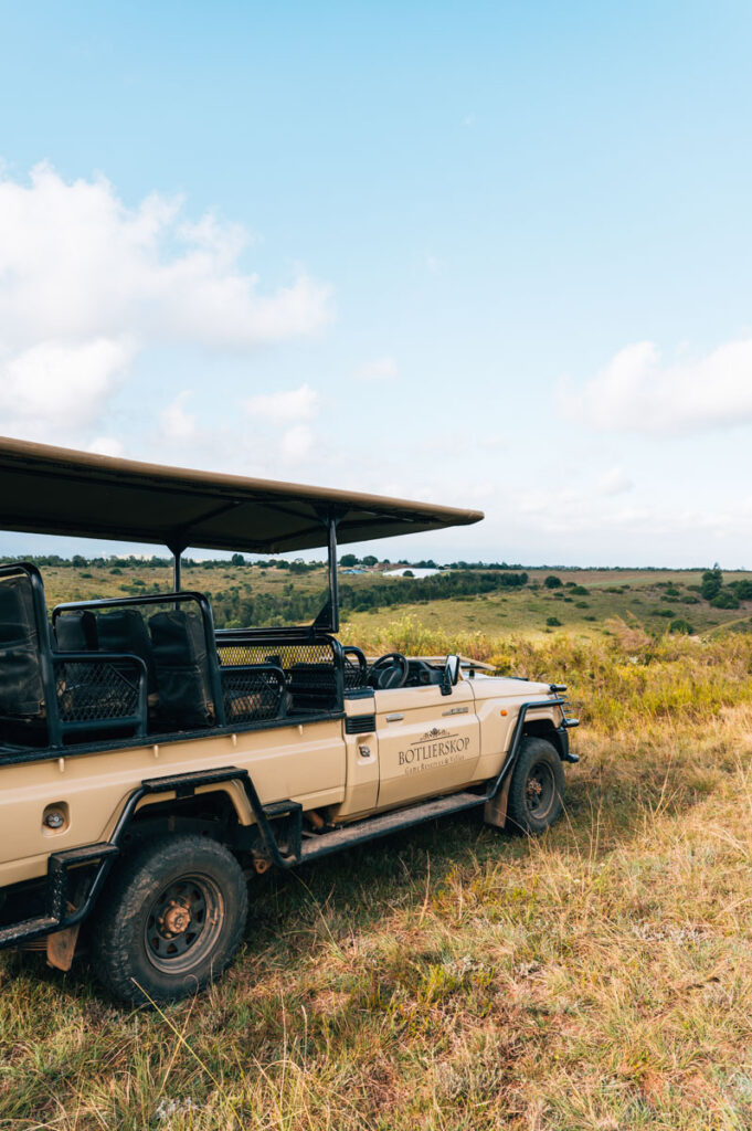 Garden Route Safari mit Kindern