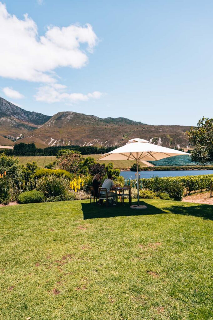 Hermanus Creation Wines