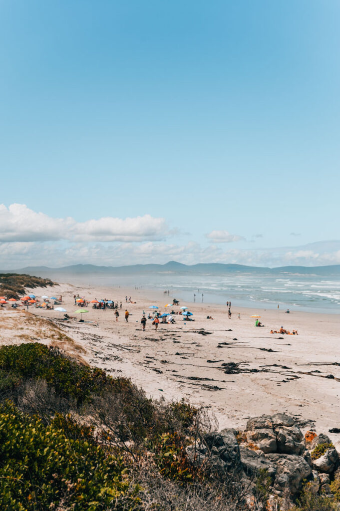 Hermanus Sehenswürdigkeiten