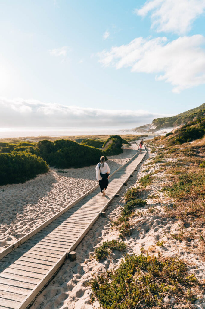 Kap Halbinsel Südafrika Tipps