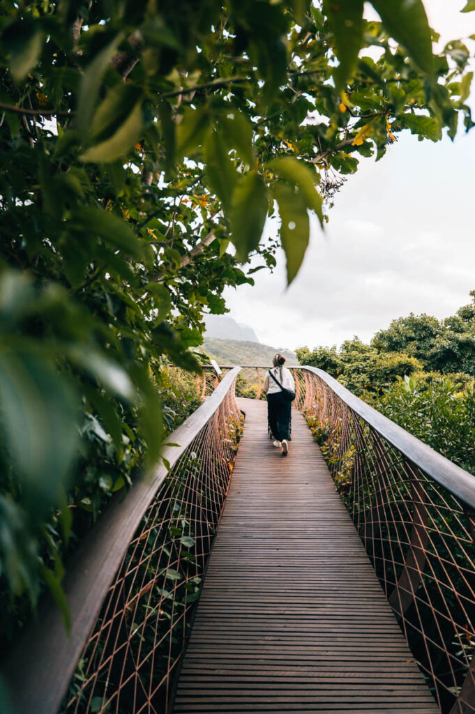 Kapstadt Botanischer Garten
