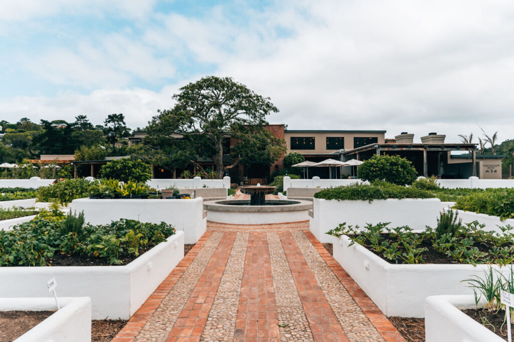 Plettenberg Bay Restaurant Tipps