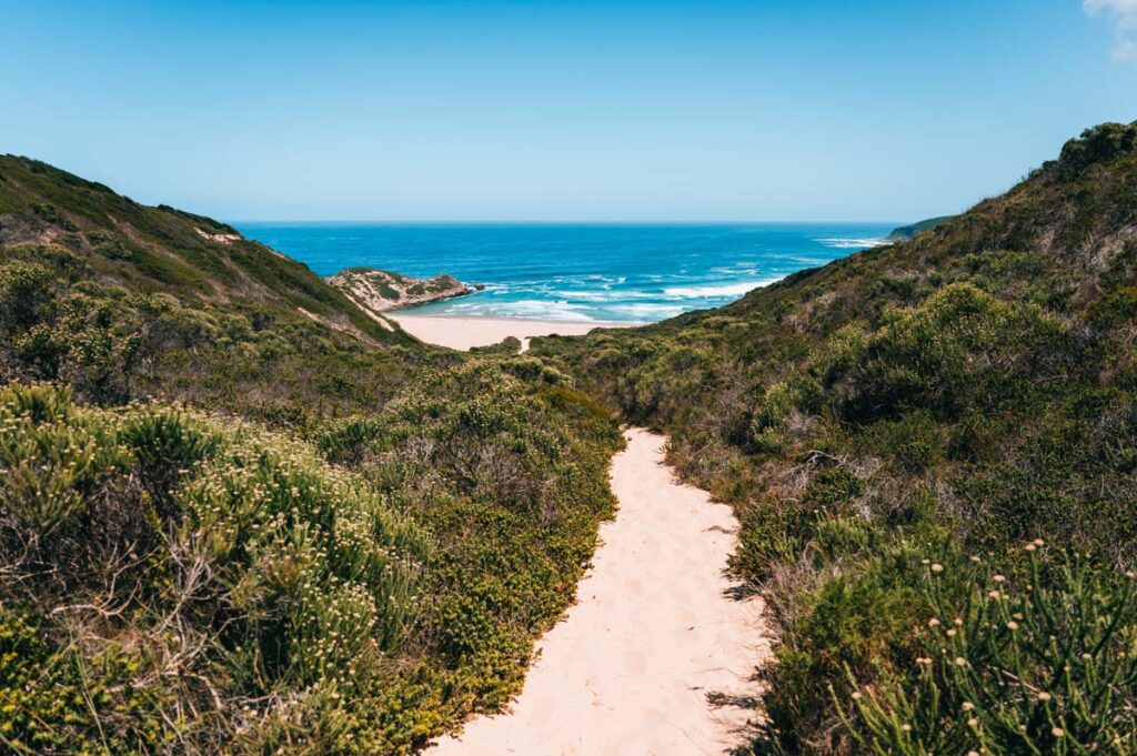 Plettenberg Bay Robberg Nature Reserve