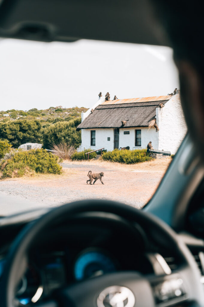 Südafrika Autofahren Sicherheit