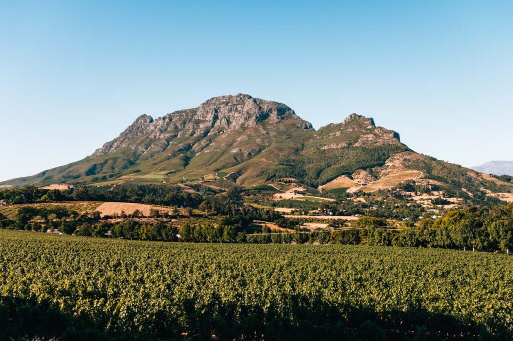 Südafrika Winelands