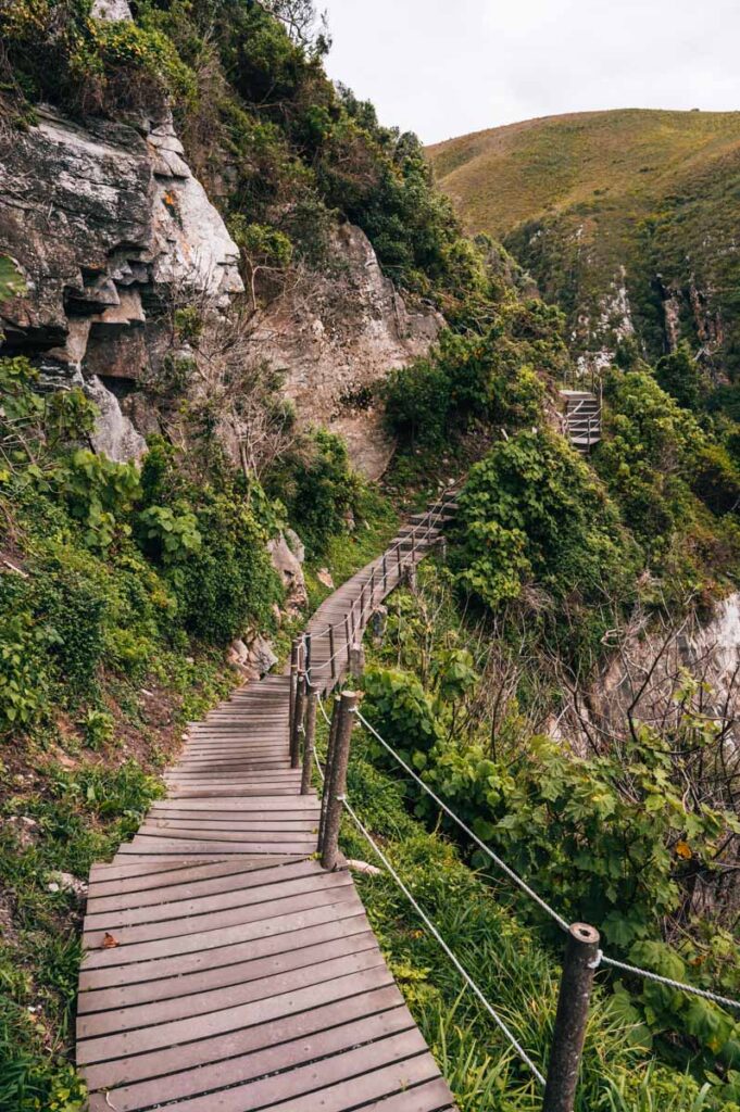 Tsitsikamma Nationalpark-Wanderung