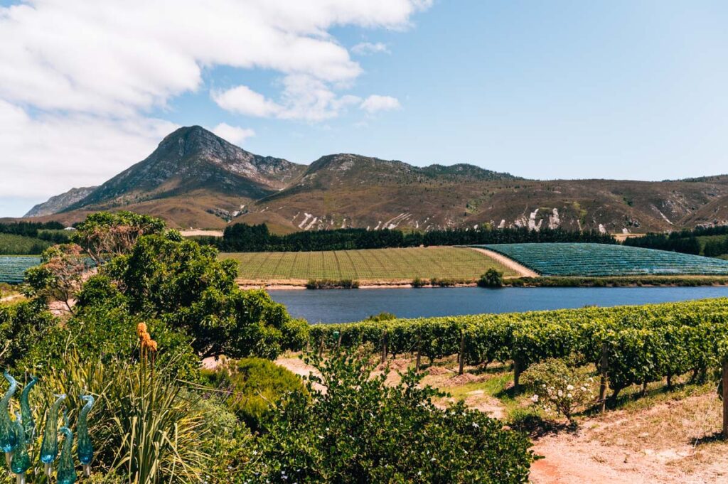 Weinregion Hemel en Aarde