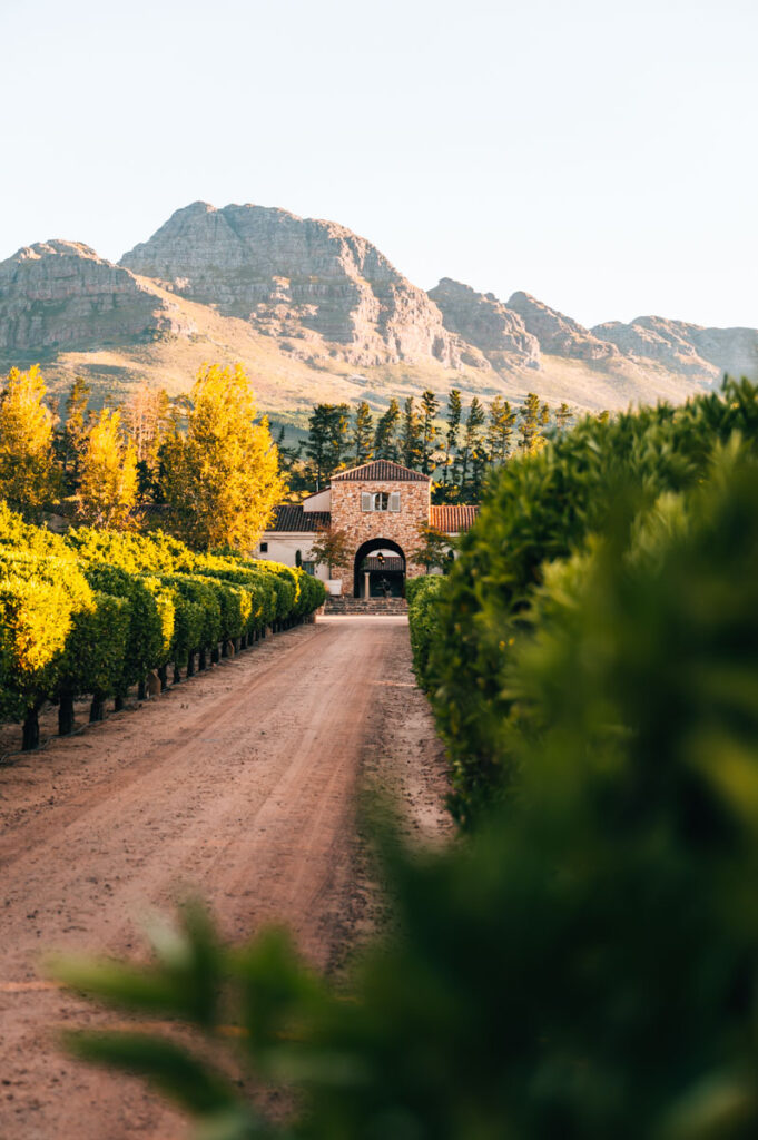 Winelands Südafrika