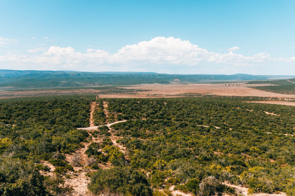 Zuurkop Lookout Point Addo