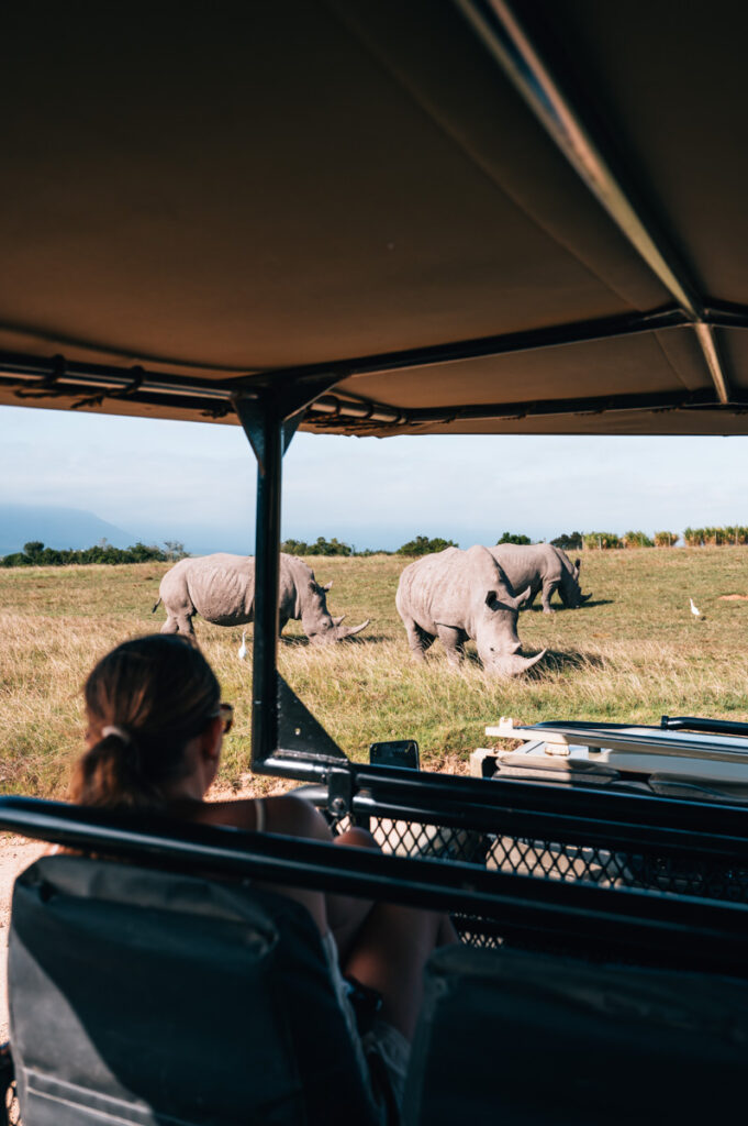 Südafrika Reiseroute Roadtrip Tipps