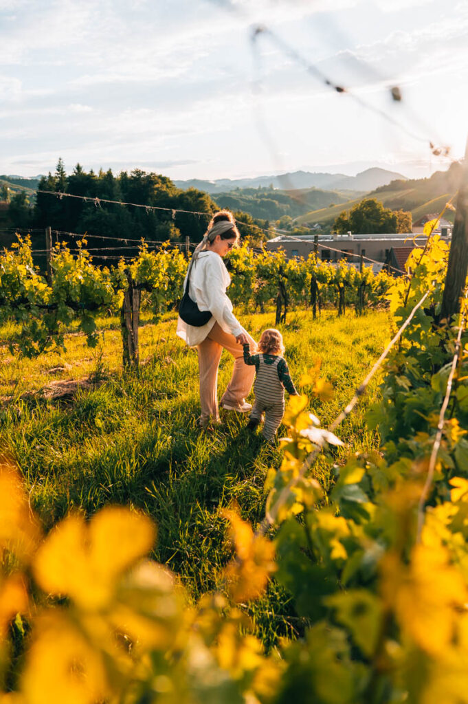 Südsteiermark Reisetipps