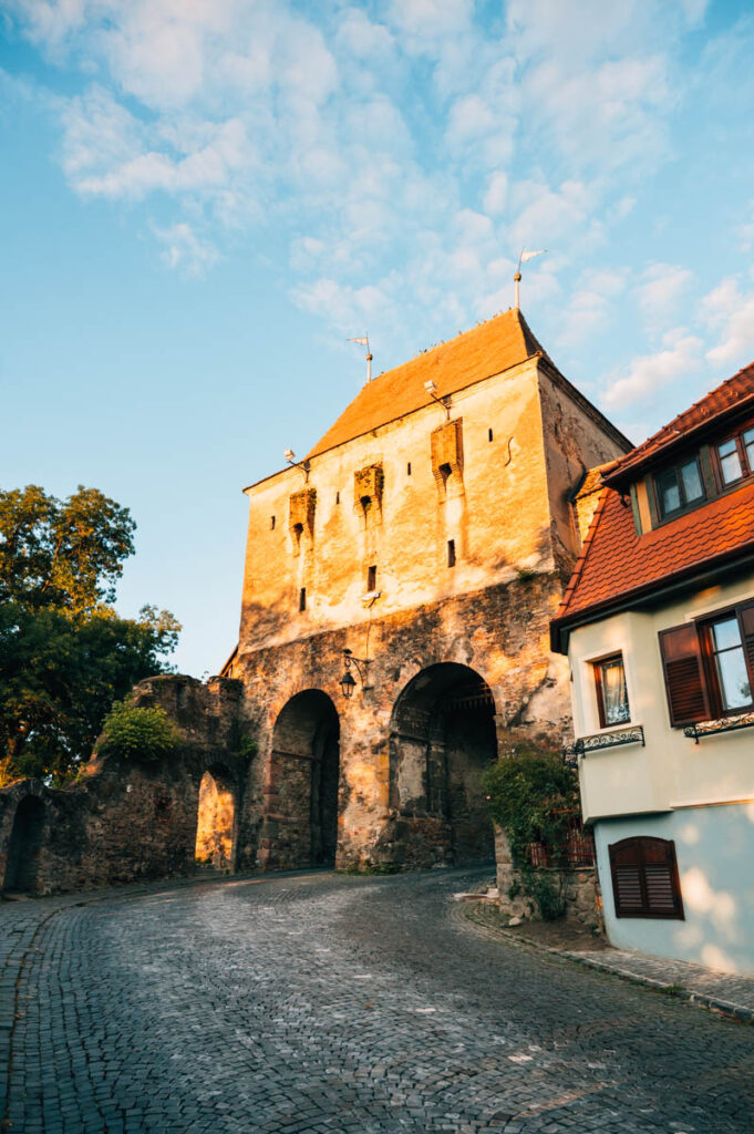 Sighisoara Schneiderturm
