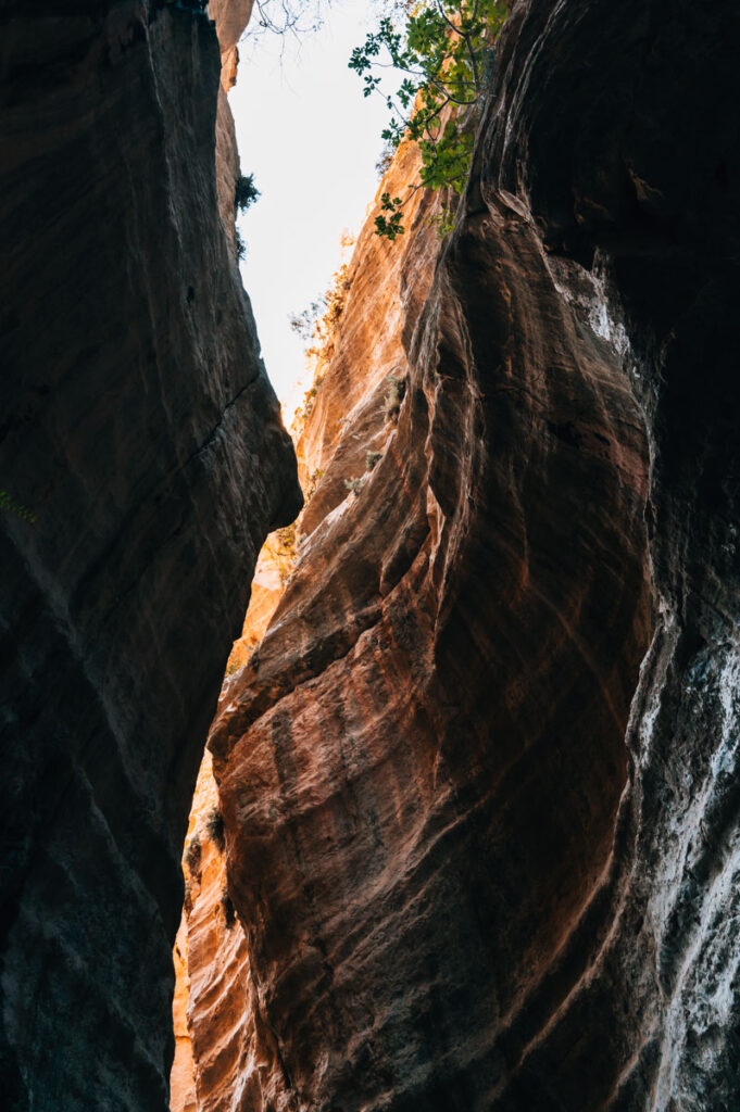 Avakas Schlucht Paphos Tipps