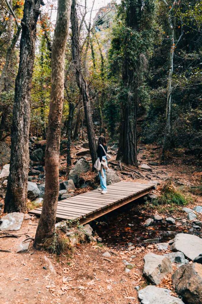Kaledonische Wasserfälle