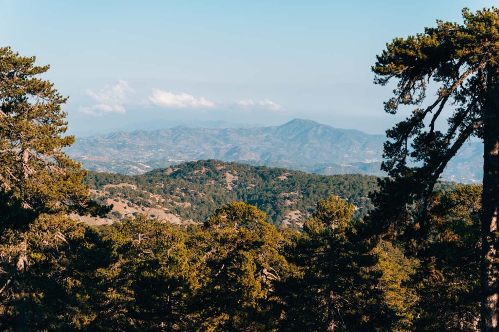 Zypern Olympos Wandern