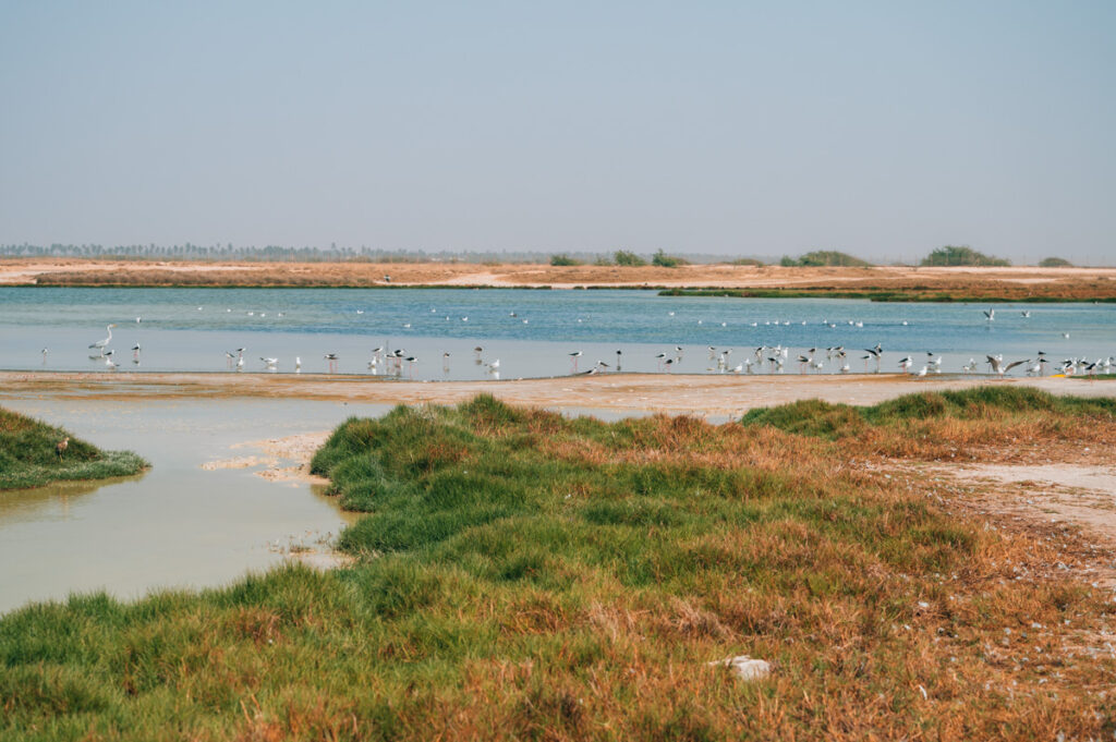 Salalah Lagune Khawr ad Dahariz